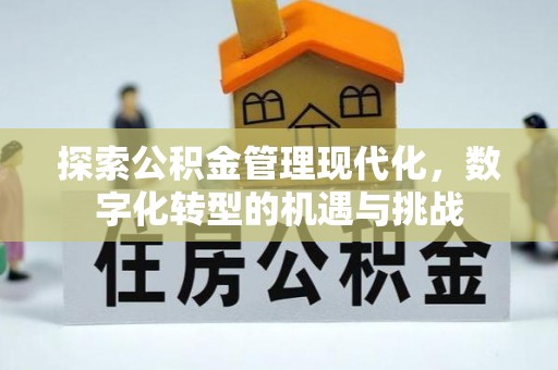 合江探索公积金管理现代化，数字化转型的机遇与挑战