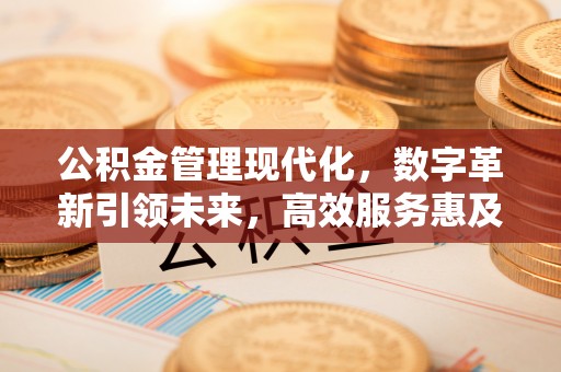 合江公积金管理现代化，数字革新引领未来，高效服务惠及民生