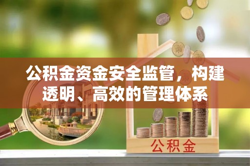 合江公积金资金安全监管，构建透明、高效的管理体系