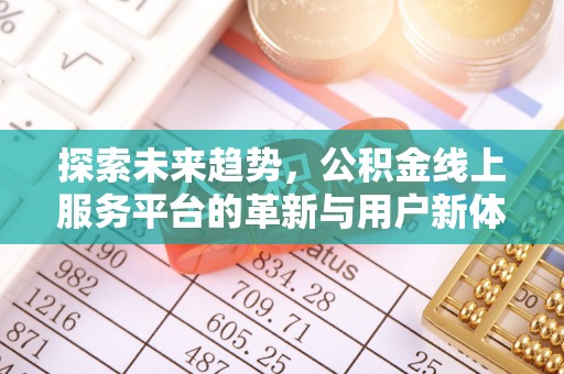 合江探索未来趋势，公积金线上服务平台的革新与用户新体验