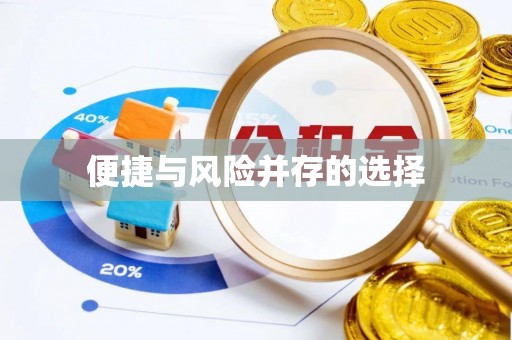 合江便捷与风险并存的选择